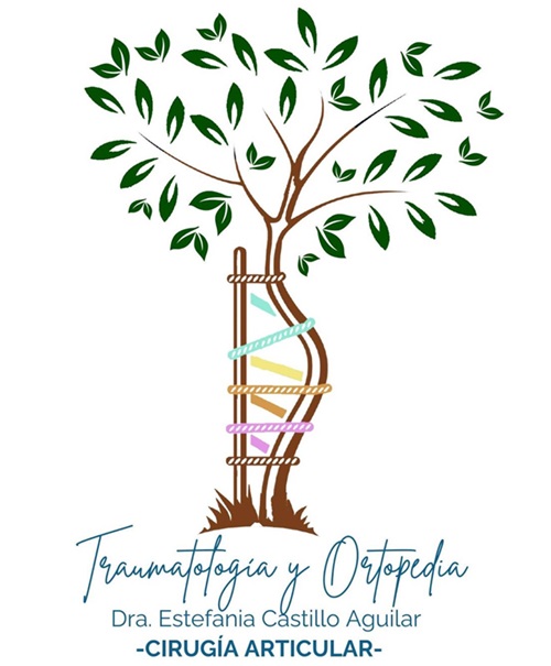 Ortopedia y Traumatología en CDMX - Dra. Estefania Castillo Aguilar